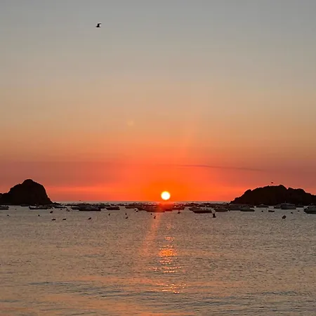 Apartment - Tropicana *