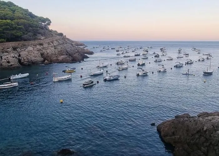 - Tropicana Tossa de Mar